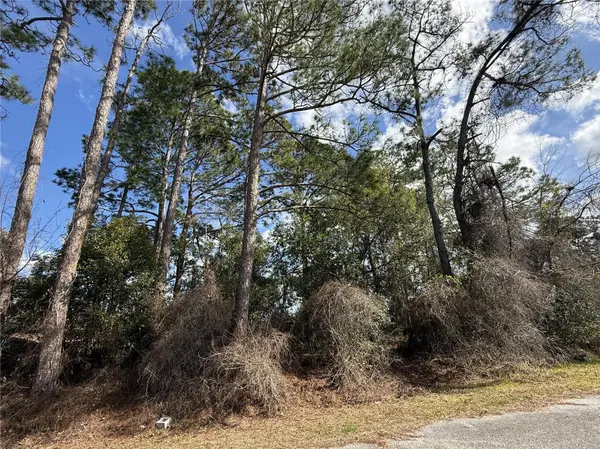 TBD SE 190TH AVENUE, Silver Springs, FL 34488