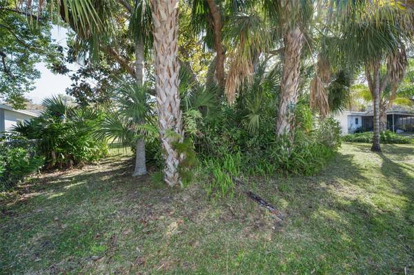 2310 SARAZEN DR, Dunedin, FL, 34698 photo 56