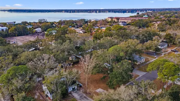 503 BUCKINGHAM AVE W, Oldsmar, FL 34677