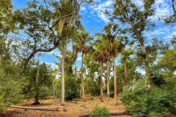 0 CARLTON LAKE RD, Wimauma, FL 33598