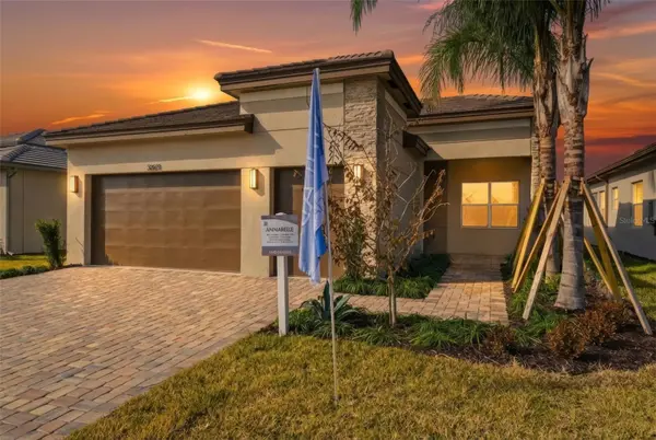 32623 NEROLI ST, Wesley Chapel, FL 33543