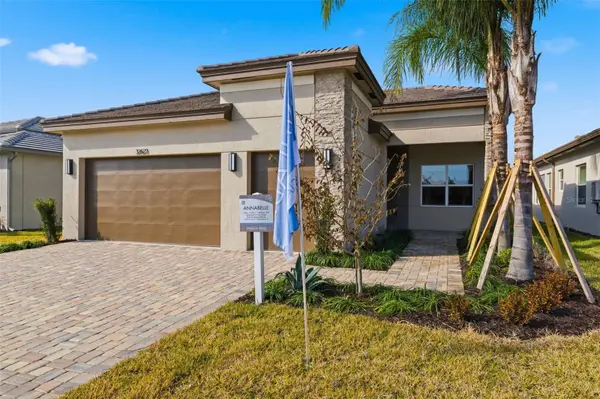 32623 NEROLI ST, Wesley Chapel, FL 33543