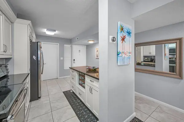 5901 BAHIA DEL MAR CIR #223, St Petersburg, FL 33715