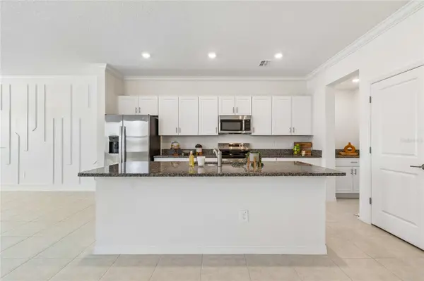 10811 FOWLERS BLUFF CT, Tampa, FL 33647