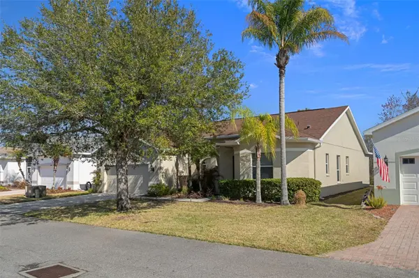 10048 CLEGHORN DR, San Antonio, FL 33576