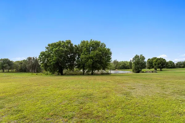 17253 BREEDERS CUP DR, Odessa, FL 33556