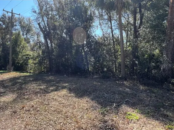 PALACKY ST, Brooksville, FL 34604