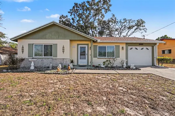 11116 MARQUETTE ST, Spring Hill, FL 34609