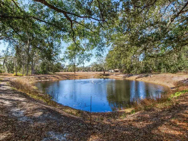 8602 BACK RD, Plant City, FL 33565