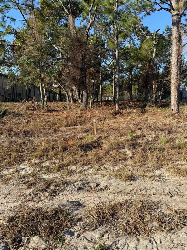 13786 LINDEN DR, Spring Hill, FL 34609