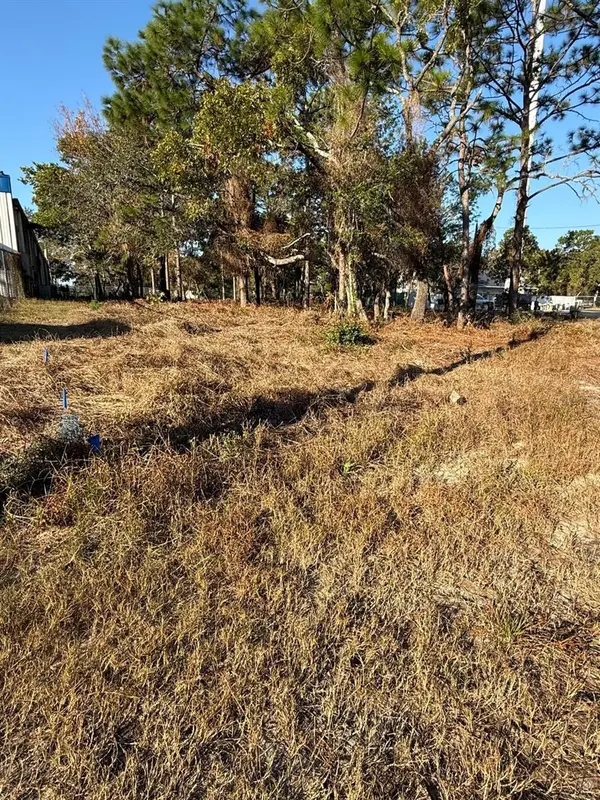 13786 LINDEN DR, Spring Hill, FL 34609