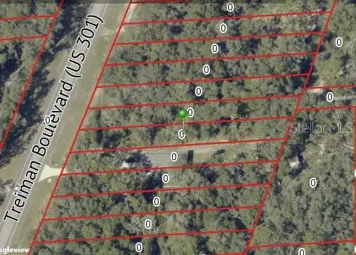 7466 TREIMAN BLVD, Webster, FL 33597