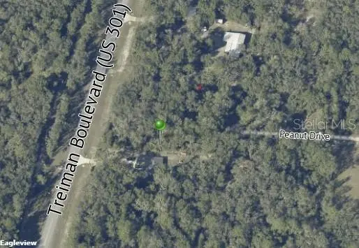 7466 TREIMAN BLVD, Webster, FL 33597