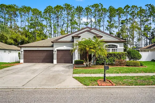 20835 RIVERFOREST DR, Land O Lakes, FL 34638