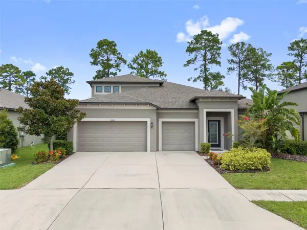 18565 OBREGAN DR, Spring Hill, FL 34610