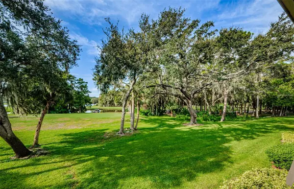 36750 US HIGHWAY 19 N #2177, Palm Harbor, FL 34684