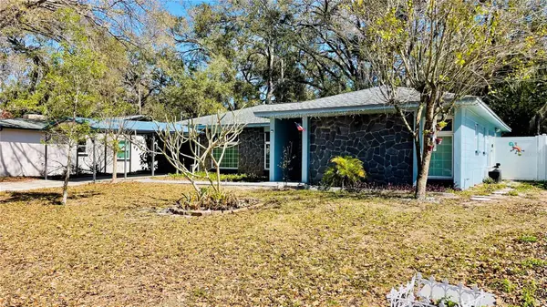 14809 TULIP DR, Tampa, FL 33613