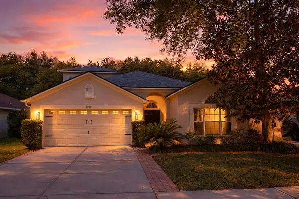 15919 POND RUSH CT, Land O Lakes, FL 34638