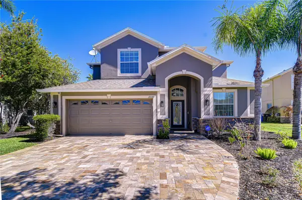 19914 BLUFF OAK BLVD, Tampa, FL 33647
