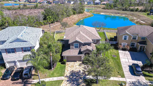 19914 BLUFF OAK BLVD, Tampa, FL 33647