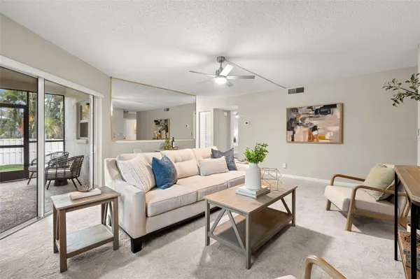 476 SANTA CRUZ PL NE #B, St Petersburg, FL 33703