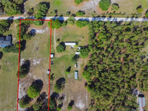 TINA MARIE DR, Zephyrhills, FL 33543