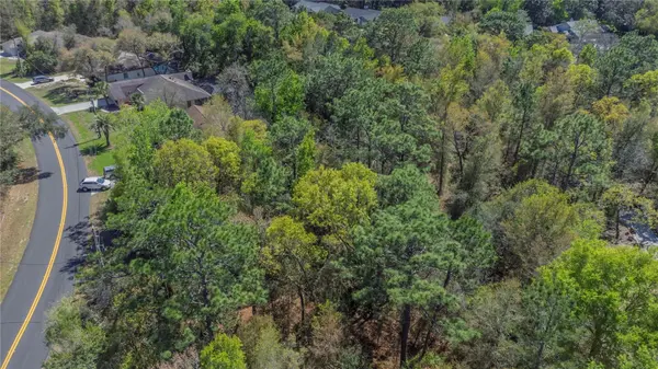 1 PINE ST, Homosassa, FL 34446