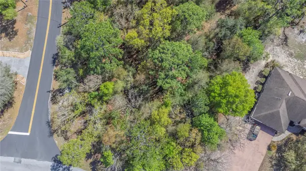 1 PINE ST, Homosassa, FL 34446