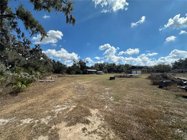 9988 BRYANT RD, Lithia, FL 33547