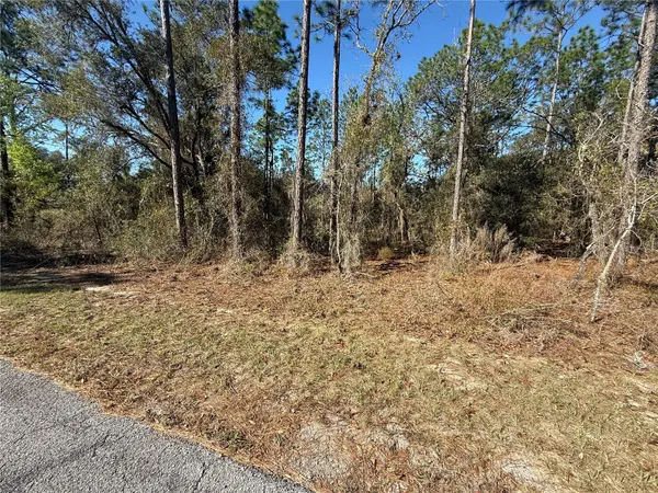 Lot 13 SE 129 CT, Dunnellon, FL 34431