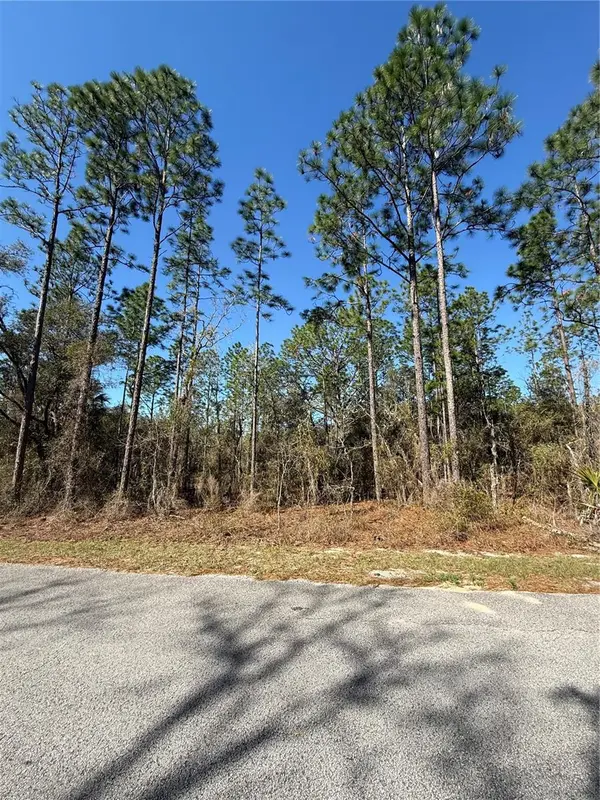 Lot 13 SE 129 CT, Dunnellon, FL 34431