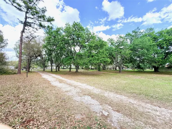 7001 W DORMANY RD, Plant City, FL 33565