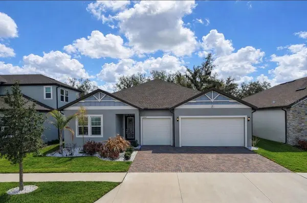 12841 BERGSTROM BAY DR, Riverview, FL 33579