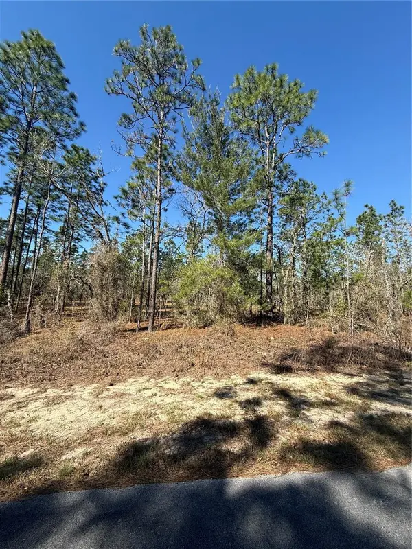 Lot 5 SE 130 CT, Dunnellon, FL 34431