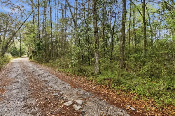 0 CHISHOLM ST, Brooksville, FL 34601