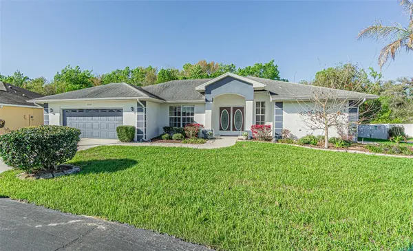 10504 MOSHIE LN, San Antonio, FL 33576