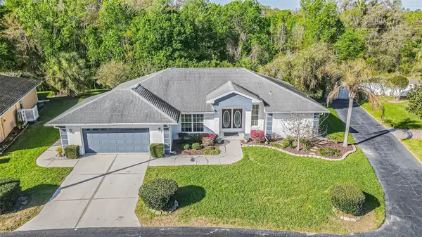 10504 MOSHIE LN, San Antonio, FL 33576