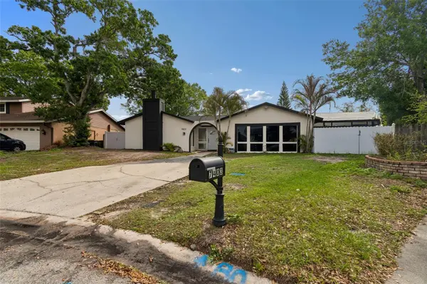 7403 SPRING CT, Tampa, FL 33634