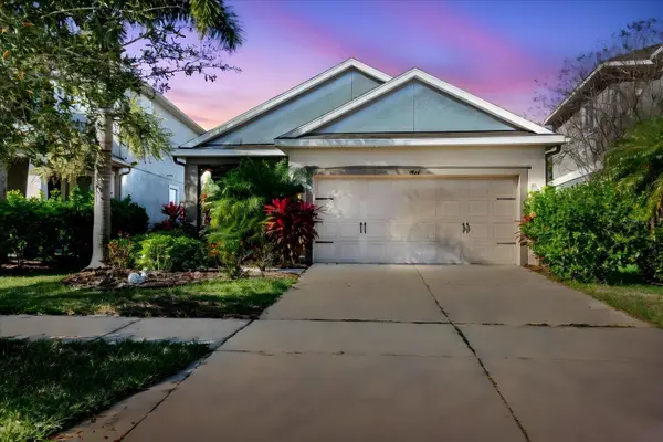6516 SALT CREEK AVE, Apollo Beach, FL 33572