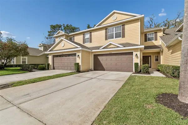 20112 INDIAN ROSEWOOD DR, Tampa, FL 33647