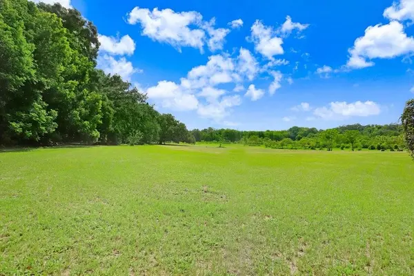 37352 ½ TRILBY RD, Dade City, FL 33523