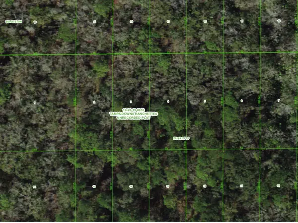 UNASSIGNED, Wesley Chapel, FL 33544