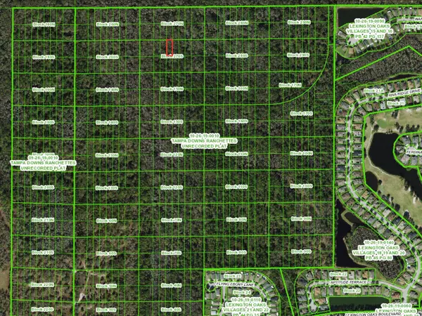 UNASSIGNED, Wesley Chapel, FL 33544