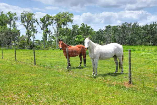 0 S CR 39, Lithia, FL 33547