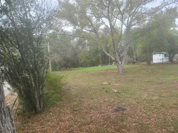 11641 BRUIN DR, New Port Richey, FL 34654