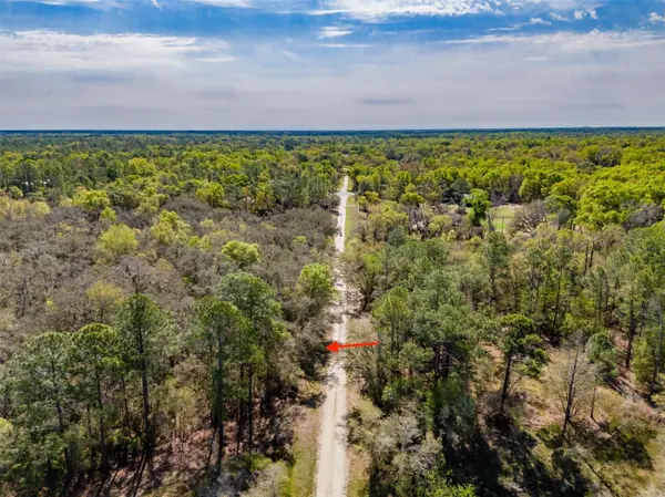 7262 SONIA AVE, Webster, FL 33597