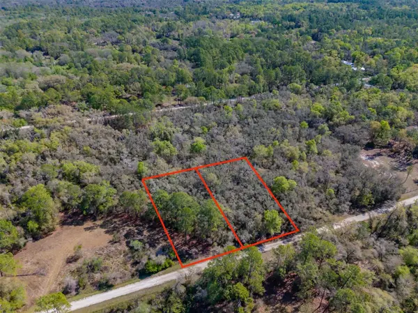 7262 SONIA AVE, Webster, FL 33597