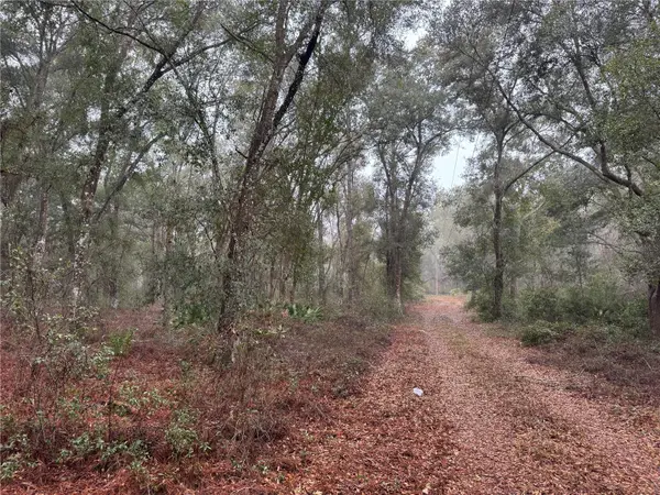 2795 SE 21ST AVE, Sumterville, FL 33585
