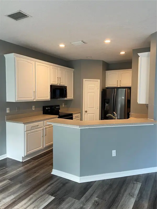 27546 PLEASURE RIDE LOOP, Wesley Chapel, FL 33544