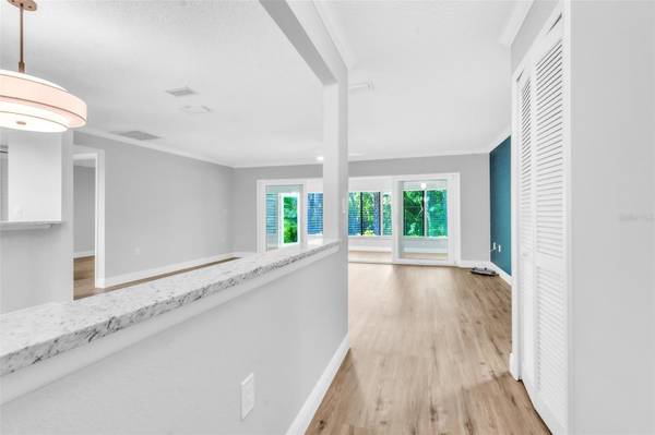 600 S WOODLANDS DR, Oldsmar, FL 34677